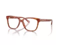 Coach HC 6242U 5774 53 Women glasses