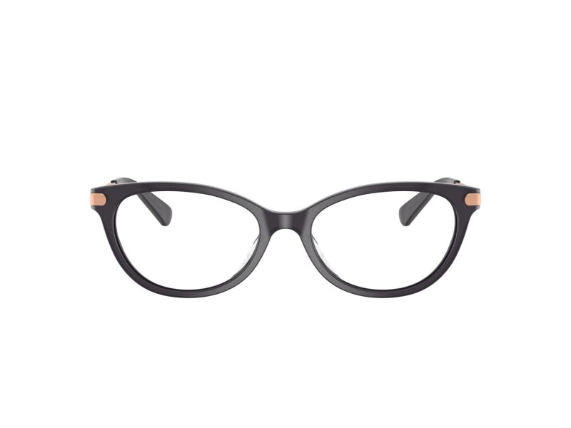 Coach HC 6245U 5104 53 Women glasses