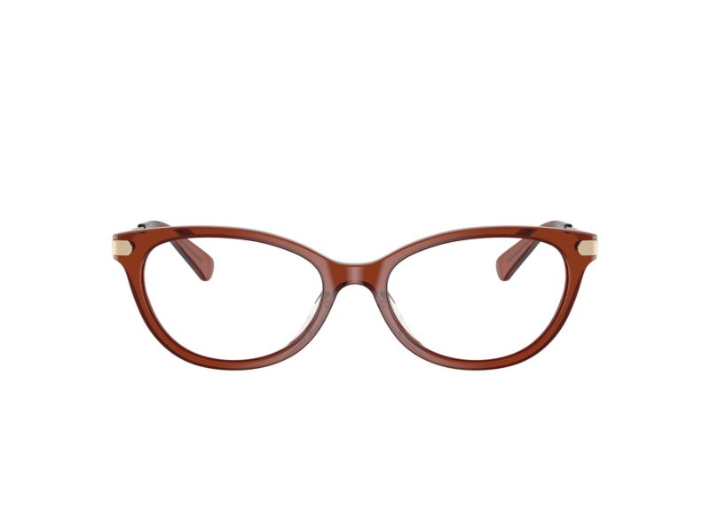 Coach HC 6245U 5847 53 Women glasses