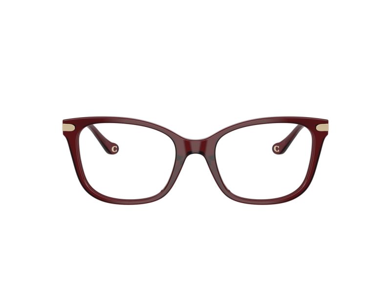 Coach HC 6261BU 5393 50 Women glasses