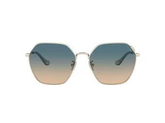 Coach C7998 HC 7132 900579 58 Women sunglasses