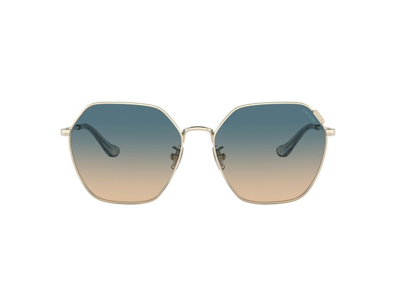 Coach C7998 HC 7132 900579 58 Women sunglasses