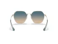 Coach C7998 HC 7132 900579 58 Women sunglasses