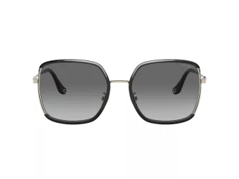 Coach C8000 HC 7139BD 934611 58 Women sunglasses