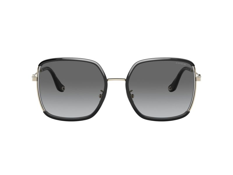 Coach C8000 HC 7139BD 934611 58 Women sunglasses