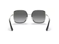 Coach C8000 HC 7139BD 934611 58 Women sunglasses