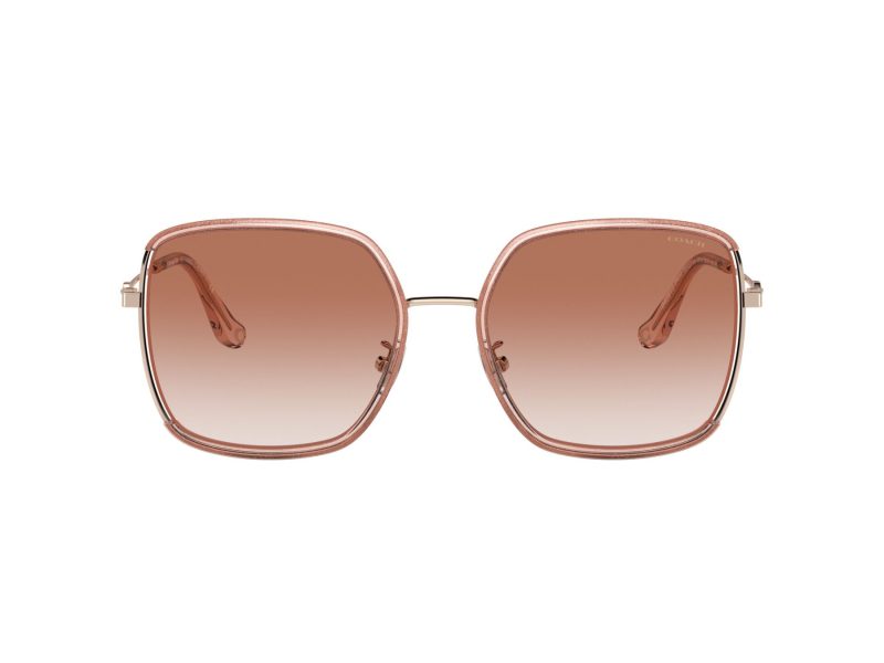 Coach C8000 HC 7139BD 940813 58 Women sunglasses