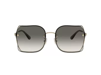 Coach Ch574 HC 7150D 900511 60 Women sunglasses