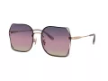 Coach Ch574 HC 7150D 9331U6 60 Women sunglasses
