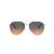 Coach Cw193 HC 7169 900518 57 Women sunglasses