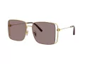 Coach Cw429 HC 7174D 94417N 59 Women sunglasses