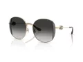 Coach Cad73 HC 7176B 90053C 54 Women sunglasses