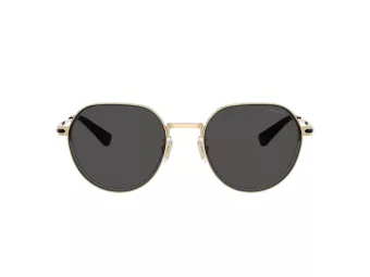 Coach Cae81 HC 7179 900587 52 Men sunglasses