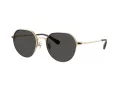 Coach Cae81 HC 7179 900587 52 Men sunglasses