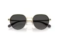 Coach Cae81 HC 7179 900587 52 Men sunglasses