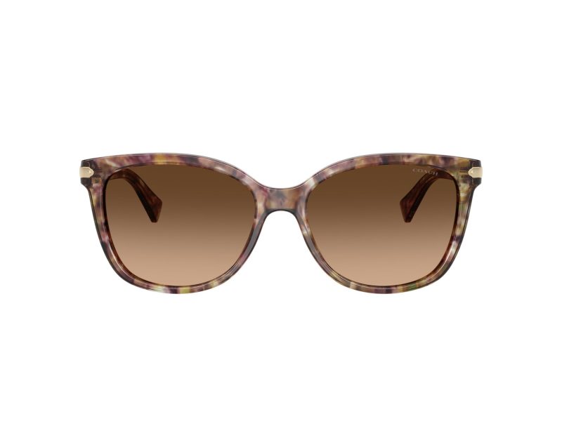 Coach L109 HC 8132 528713 57 Women sunglasses