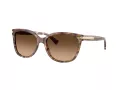 Coach L109 HC 8132 528713 57 Women sunglasses