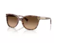 Coach L109 HC 8132 528713 57 Women sunglasses