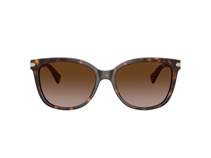 Coach L109 HC 8132 529113 57 Women sunglasses