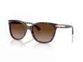 Coach L109 HC 8132 529113 57 Women sunglasses