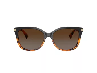 Coach L109 HC 8132 5438T5 57 Women sunglasses
