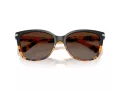 Coach L109 HC 8132 5438T5 57 Women sunglasses