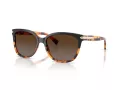 Coach L109 HC 8132 5438T5 57 Women sunglasses
