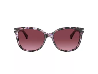 Coach L109 HC 8132 55488H 57 Women sunglasses
