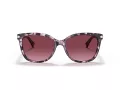 Coach L109 HC 8132 55488H 57 Women sunglasses