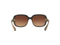 Coach L149 HC 8169 535313 57 Women sunglasses