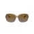 Coach L149 HC 8169 5561T5 57 Women sunglasses