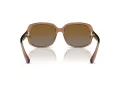 Coach L149 HC 8169 5561T5 57 Women sunglasses