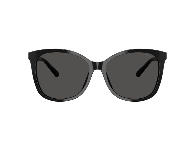Coach L1101 HC 8271U 500287 57 Women sunglasses