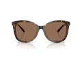 Coach L1101 HC 8271U 512073 57 Women sunglasses