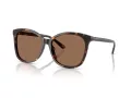 Coach L1101 HC 8271U 512073 57 Women sunglasses
