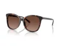 Coach L1101 HC 8271U 5120T5 57 Women sunglasses