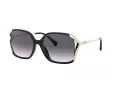 Coach L1116 HC 8280U 50028G 57 Women sunglasses