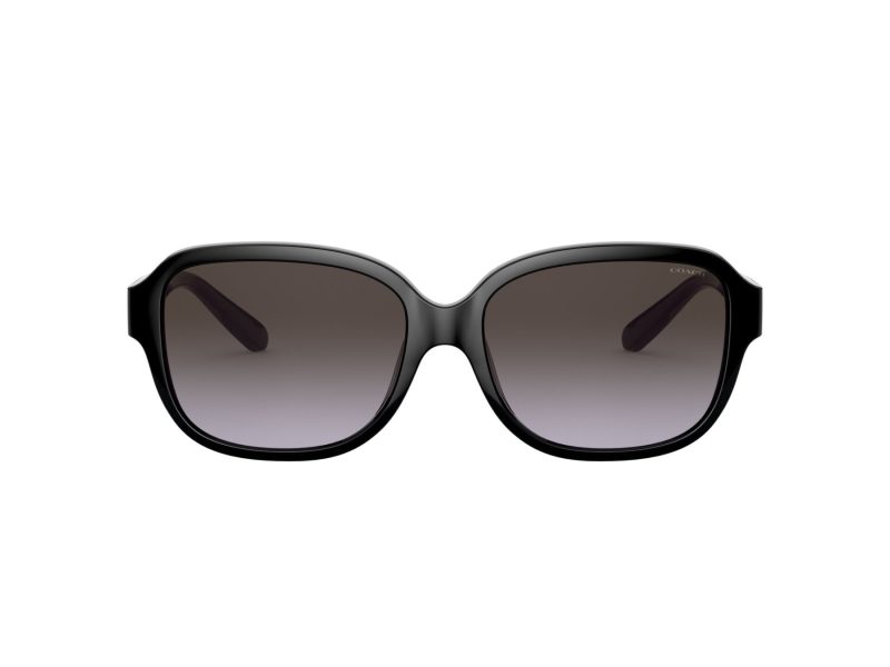 Coach L1153 HC 8298U 50028G 57 Women sunglasses