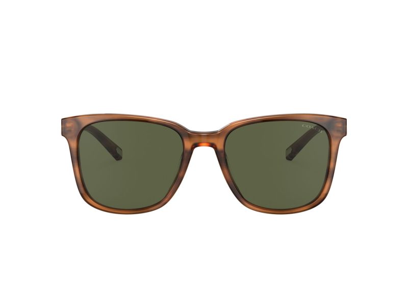 Coach C2095 HC 8313U 558171 54 Men sunglasses