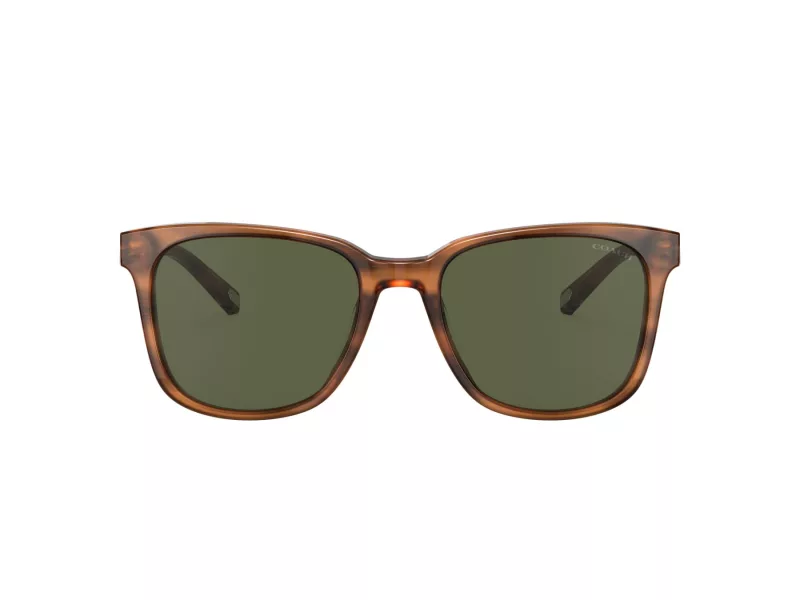 Coach C2095 HC 8313U 558171 54 Men sunglasses