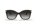 Coach C3446 HC 8316 50028G 58 Women sunglasses