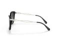 Coach C3446 HC 8316 50028G 58 Women sunglasses