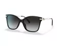 Coach C3446 HC 8316 50028G 58 Women sunglasses