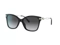 Coach C3446 HC 8316 5002T3 58 Women sunglasses