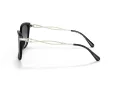 Coach C3446 HC 8316 5002T3 58 Women sunglasses