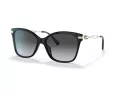 Coach C3446 HC 8316 5002T3 58 Women sunglasses