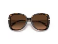 Coach C6180 HC 8320 512074 55 Women sunglasses