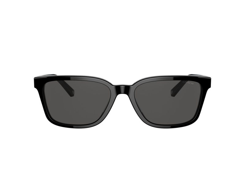 Coach C6196 HC 8328U 500287 57 Men sunglasses