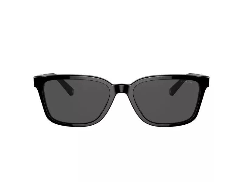 Coach C6196 HC 8328U 500287 57 Men sunglasses