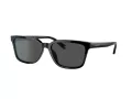 Coach C6196 HC 8328U 500287 57 Men sunglasses